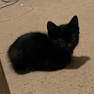 Meet your Posher, Zach